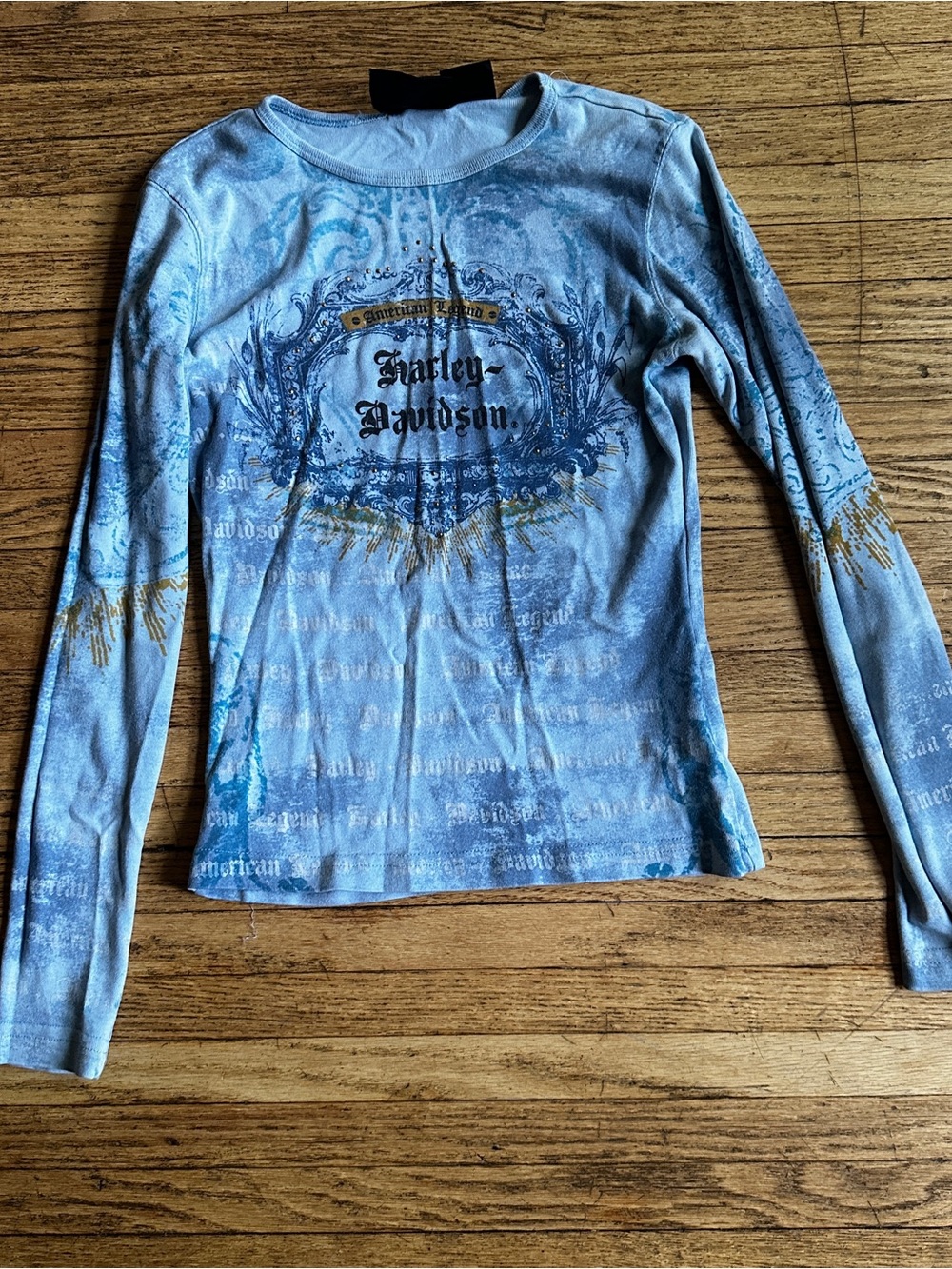 Harley-Davidson Light Blue Graphic Long-Sleeve Tee